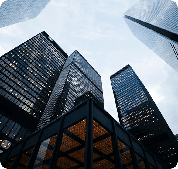 Financial Highlights